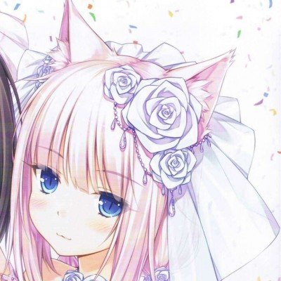 回到顶部